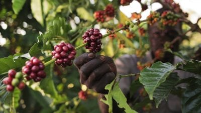 southsudan3_cnespresso_a