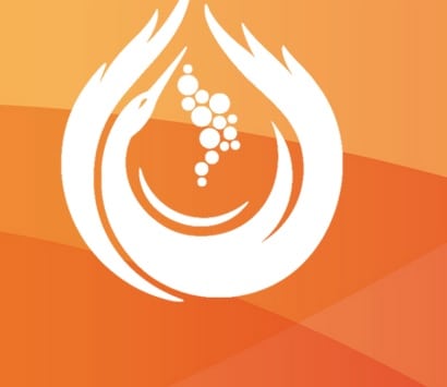 vin moldova