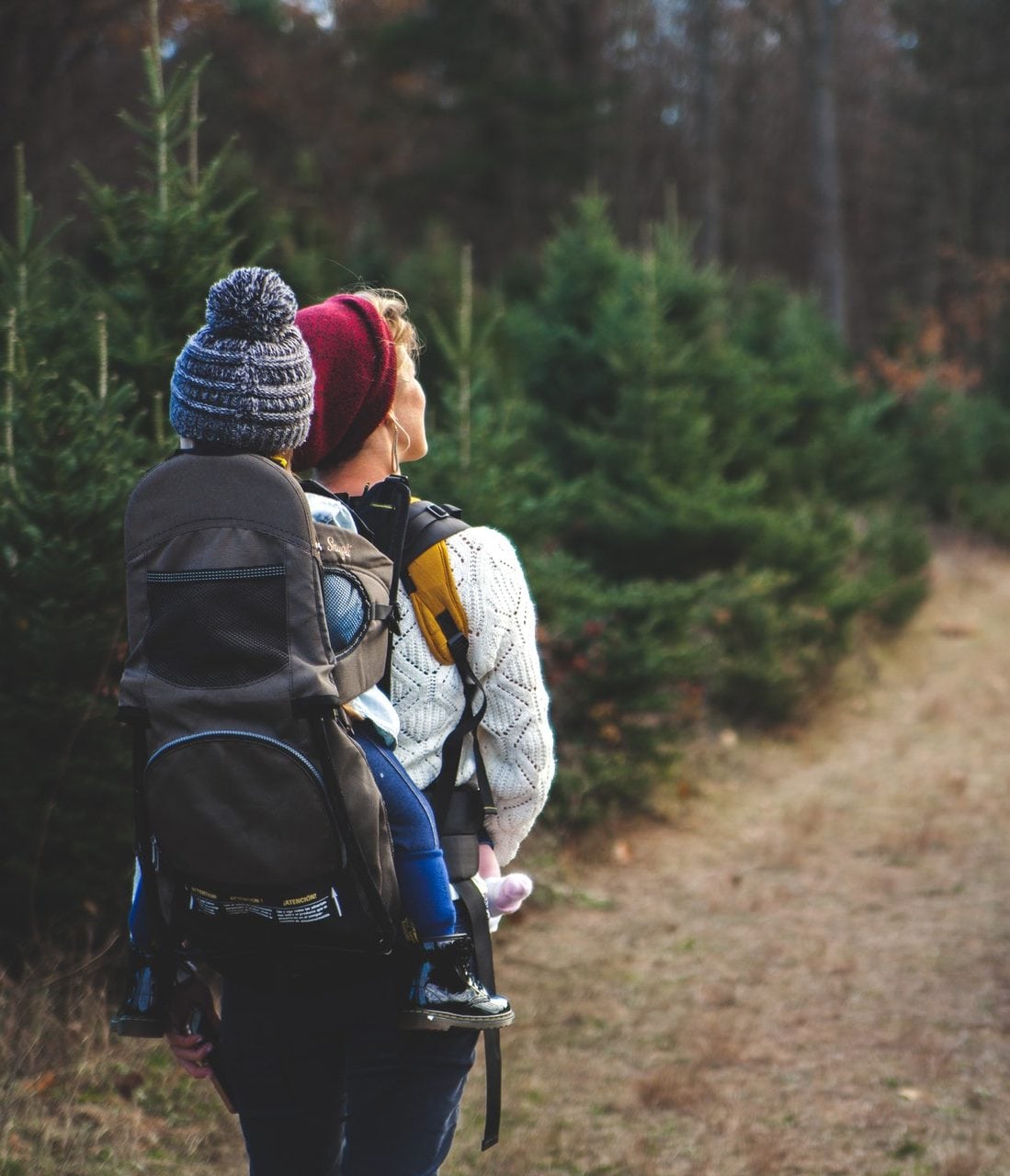 momondo plan de calatorii in 2018 2 e1515161195532