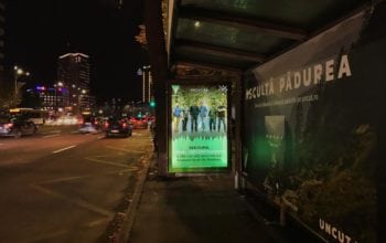 Semnal de alarmă față de defrișarea pădurilor