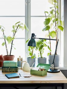 IKEA Images 3